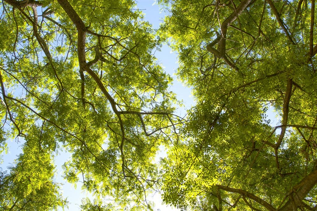 Que hacer en Galicia